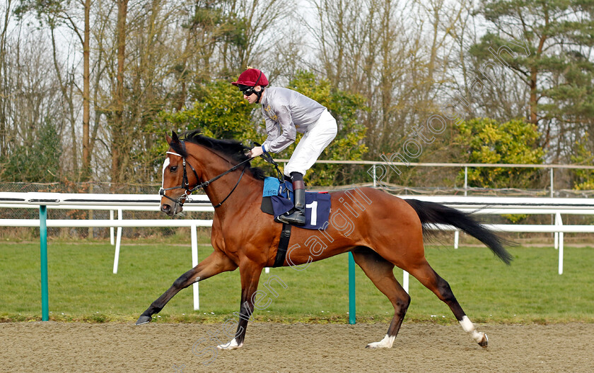 Orne-0001 
 ORNE (Robert Havlin)
Lingfield 7 Mar 2024 - Pic Steven Cargill / Racingfotos.com