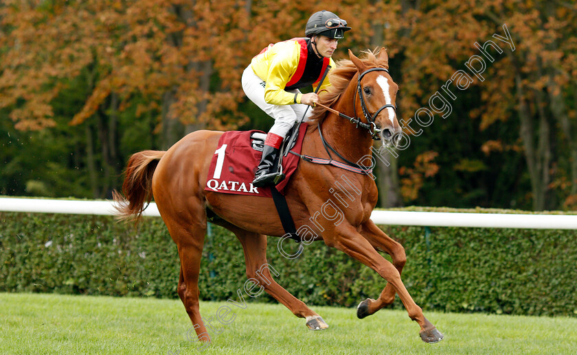 Torquator-Tasso-0001 
 TORQUATOR TASSO (Rene Piechulek) winner of The Qatar Prix de L'Arc de Triomphe
Longchamp 3 Oct 2021 - Pic Steven Cargill / Racingfotos.com