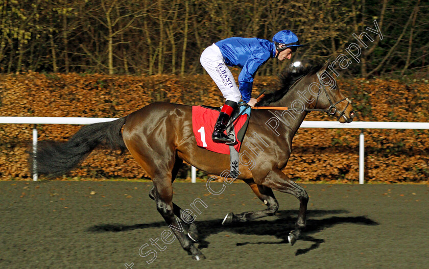 Statehood-0001 
 STATEHOOD (Adam Kirby) Kempton 20 Dec 2017 - Pic Steven Cargill / Racingfotos.com