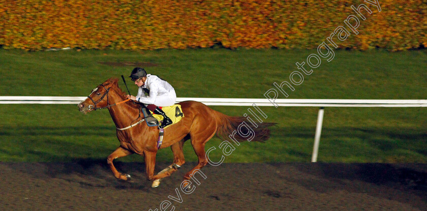 Hover-0003 
 HOVER (Rob Hornby) wins The Unibet Casino Deposit £10 Get £40 Bonus Handicap
Kempton 10 Nov 2021 - Pic Steven Cargill / Racingfotos.com