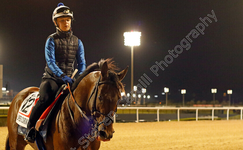 Super-Corinto-0003 
 SUPER CORINTO training for the Dubai World Cup
Meydan, Dubai, 23 Mar 2023 - Pic Steven Cargill / Racingfotos.com