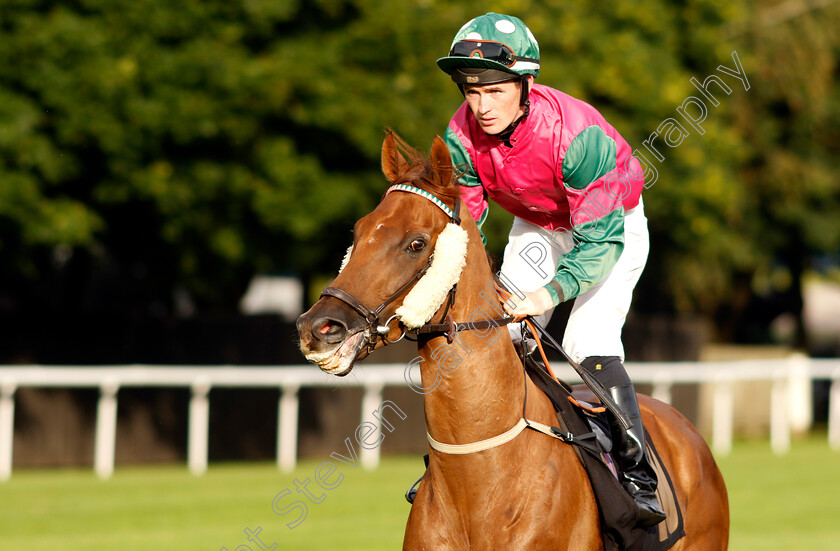 Bond-Spirit-0001 
 BOND SPIRIT (Dylan Hogan)
Newmarket 28 Jul 2023 - Pic Steven Cargill / Racingfotos.com