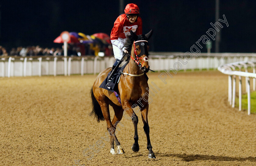 Rogue-Destiny-0001 
 ROGUE DESTINY (Liam Keniry)
Wolverhampton 20 Dec 2024 - Pic Steven Cargill / Racingfotos.com