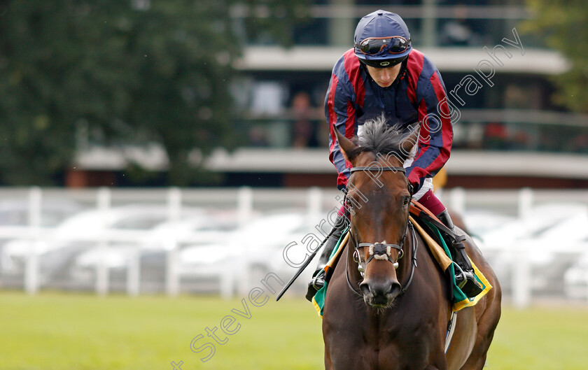 The-Tin-Man-0001 
 THE TIN MAN (Oisin Murphy)
Newbury 20 Jul 2019 - Pic Steven Cargill / Racingfotos.com