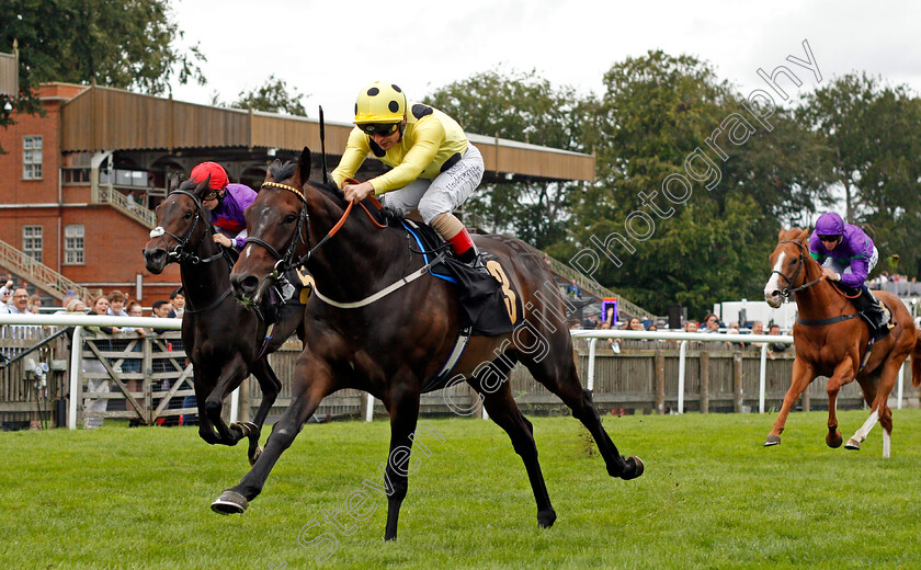 Cairn-Island-0002 
 CAIRN ISLAND (Andrea Atzeni) wins The Mansionbet At Newmarket Handicap
Newmarket 27 Aug 2021 - Pic Steven Cargill / Racingfotos.com