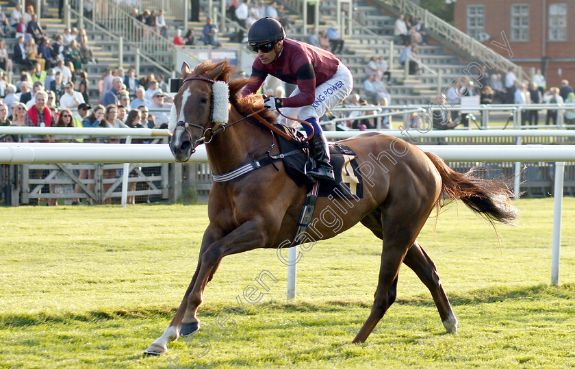 Emily-Goldfinch-0004 
 EMILY GOLDFINCH (Silvestre De Sousa) wins The Coates & Seely Blanc De Blancs Fillies Handicap
Newmarket 28 Jun 2019 - Pic Steven Cargill / Racingfotos.com