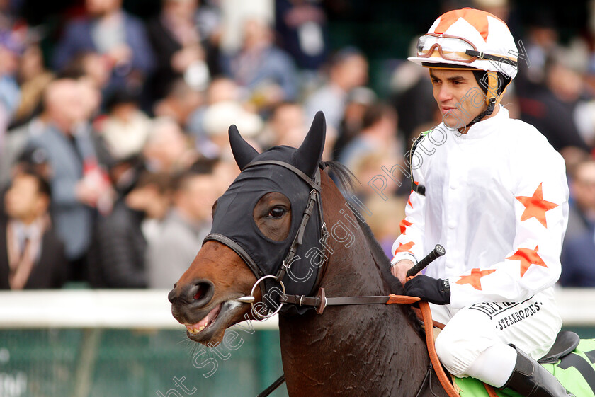 Pocket-Dynamo-0001 
 POCKET DYNAMO (Joel Rosario)
Churchill Downs 2 Nov 2018 - Pic Steven Cargill / Racingfotos.com