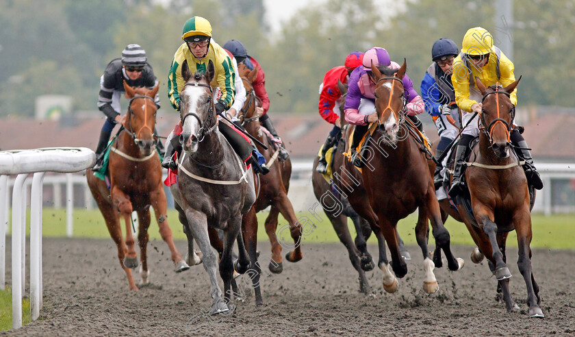 Baileys-Excelerate-0001 
 BAILEYS EXCELERATE (left, Franny Norton) SPICE WAR (centre) and SEE THE TAR (right) at Kempton 25 Sep 2017 - Pic Steven Cargill / Racingfotos.com