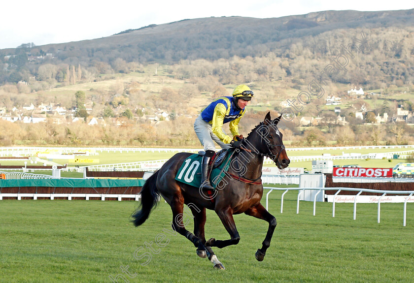 Methodtothemadness-0001 
 METHODTOTHEMADNESS (Derek Fox)
Cheltenham 10 Dec 2021 - Pic Steven Cargill / Racingfotos.com