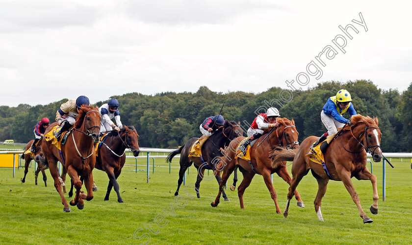 Dream-Of-Dreams-0002 
 DREAM OF DREAMS (Oisin Murphy) beats GLEN SHIEL (left) in The Betfair Sprint Cup
Haydock 5 Sep 2020 - Pic Steven Cargill / Racingfotos.com