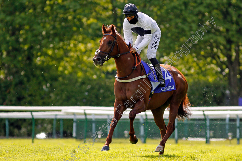 Method-0001 
 METHOD (Sean Levey)
Haydock 22 May 2021 - Pic Steven Cargill / Racingfotos.com