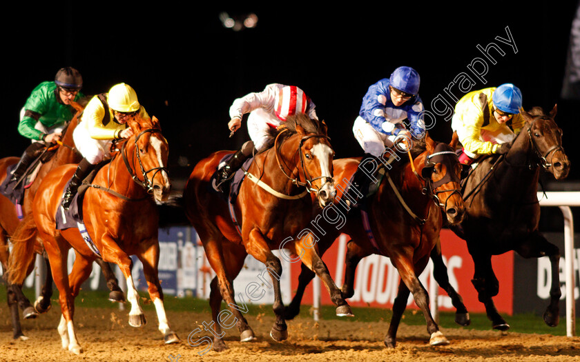 Victory-Heights-0006 
 VICTORY HEIGHTS (2nd left, P J McDonald) beats MIGHTY GURKHA (2nd right) ZAMAANI (left) and YAZAMAN (right) in The Ladbrokes Watch Racing Online For Free Conditions Stakes
Wolverhampton 5 Dec 2020 - Pic Steven Cargill / Racingfotos.com