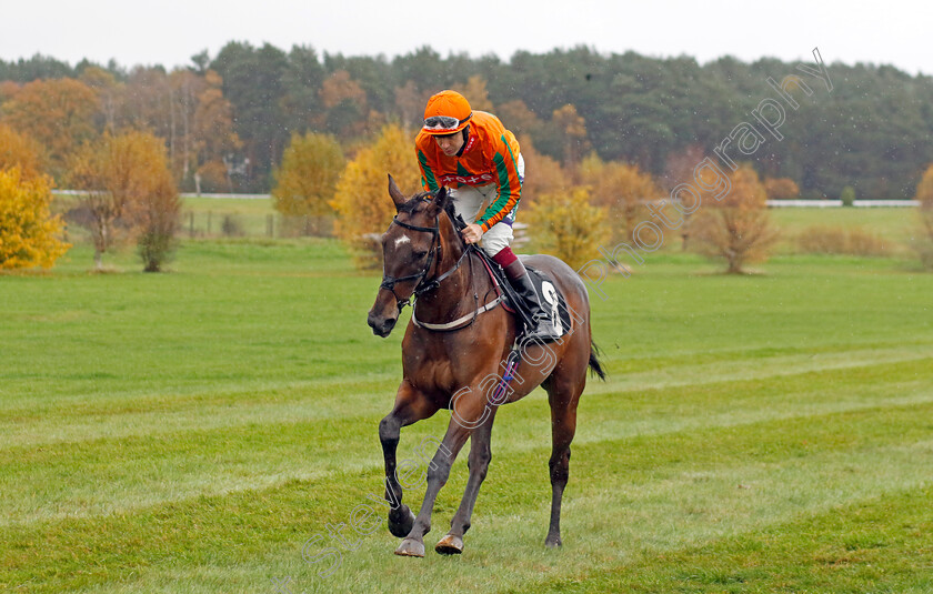 Jacks-Touch-0001 
 JACKS TOUCH (Aidan Coleman)
Market Rasen 17 Nov 2022 - Pic Steven Cargill / Racingfotos.com