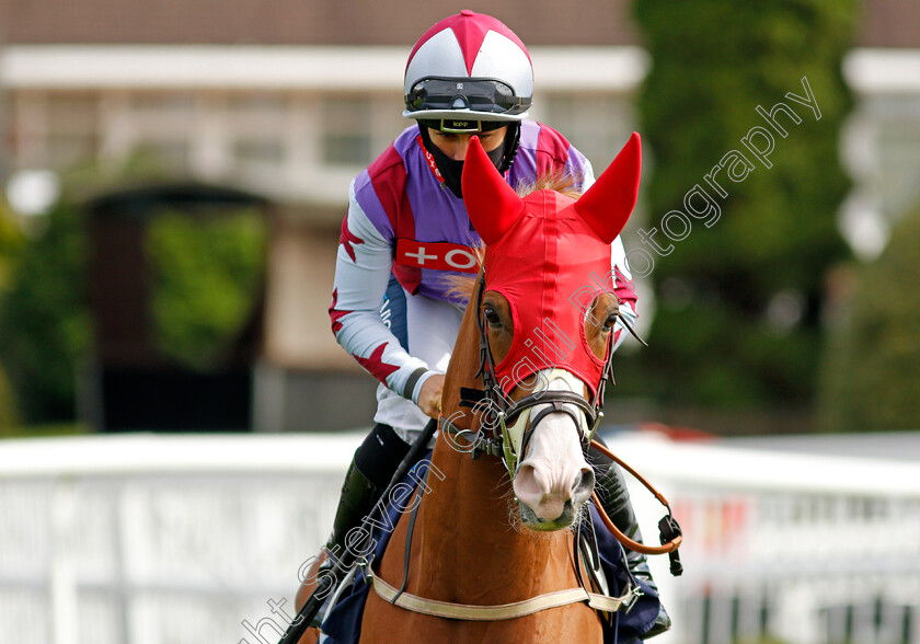 Albatross-Reach-0001 
 ALBATROSS REACH (Nicola Currie)
Lingfield 2 Sep 2020 - Pic Steven Cargill / Racingfotos.com