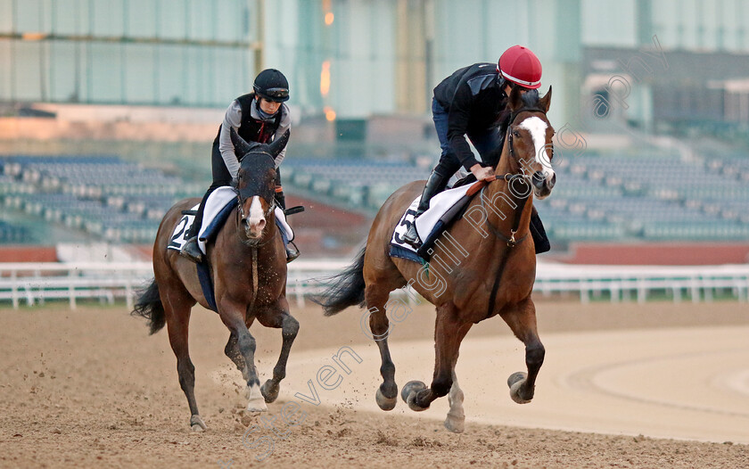 Spirit-Dancer-and-Tanmawwy-0001 
 SPIRIT DANCER leads TANMAWWY training at the Dubai Racing Carnival
Meydan 1 Feb 2024 - Pic Steven Cargill / Racingfotos.com