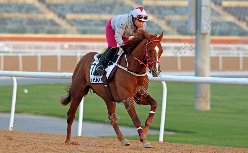 Ahatis-0002 
 AHATIS exercising for Greek trainer Christos Theodorakis
Meydan, Dubai, 3 Feb 2022 - Pic Steven Cargill / Racingfotos.com