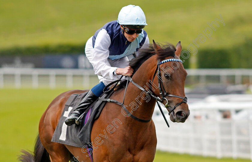 Abstract-Art-0001 
 ABSTRACT ART (William Buick)
Goodwood 9 Jun 2024 - Pic Steven Cargill / Racingfotos.com