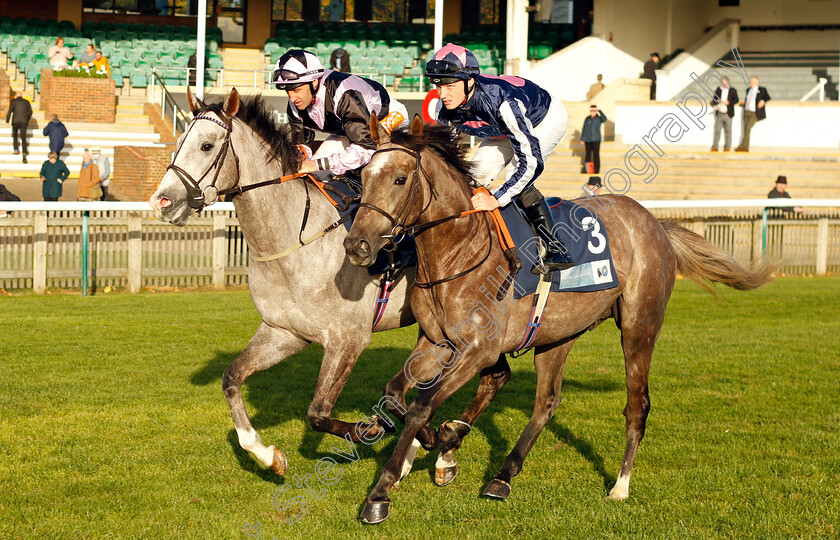 Damascus-Steel-and-Lawmaker-0001 
 DAMASCUS STEEL (right, Rhys Clutterbuck) with LAWMAKER (left, Neil Callan)
Newmarket 19 Oct 2022 - Pic Steven Cargill / Racingfotos.com