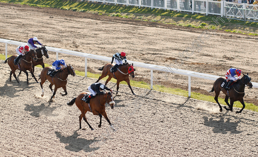 Hic-Bibi-0002 
 HIC BIBI (left, David Egan) beats HOLY TIBER (right) in The Bet toteswinger At totesport.com Handicap
Chelmsford 11 Apr 2019 - Pic Steven Cargill / Racingfotos.com