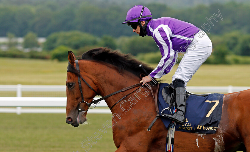 Japan-0002 
 JAPAN (Wayne Lordan)
Ascot 19 Jun 2021 - Pic Steven Cargill / Racingfotos.com