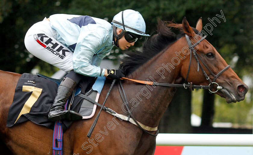 Reina-Del-Mar-0001 
 REINA DEL MAR (Saffie Osborne) wins The Turners Handicap
Newmarket 5 Aug 2023 - Pic Steven Cargill / Racingfotos.com