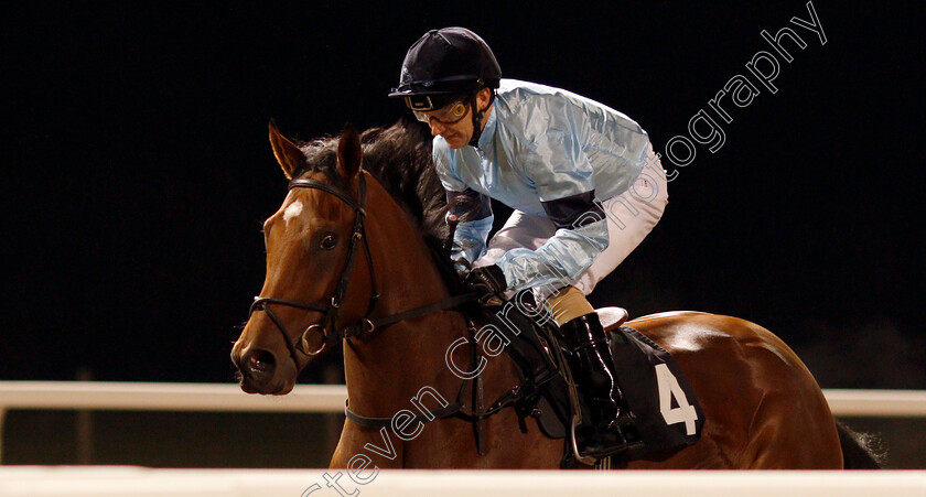 Fantail-0002 
 FANTAIL (Joe Fanning) winner of The Bet totetrifecta At totesport.com EBF Fillies Novice Stakes
Chelmsford 19 Nov 2019 - Pic Steven Cargill / Racingfotos.com