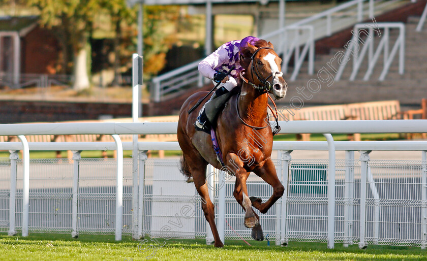 Amarillo-Star-0003 
 AMARILLO STAR (Stevie Donohoe) wins The tote.co.uk Home Of The Placepot Handicap
Goodwood 11 Oct 2020 - Pic Steven Cargill / Racingfotos.com