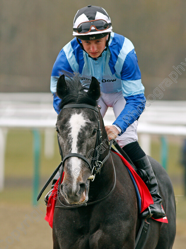 Albishr-0001 
 ALBISHR (Tom Marquand) Lingfield 3 Mar 2018 - Pic Steven Cargill / Racingfotos.com