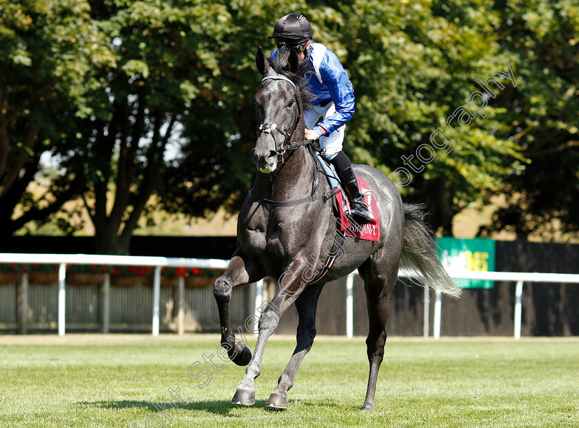 Muntahaa-0001 
 MUNTAHAA (Dane O'Neill)
Newmarket 12 Jul 2018 - Pic Steven Cargill / Racingfotos.com