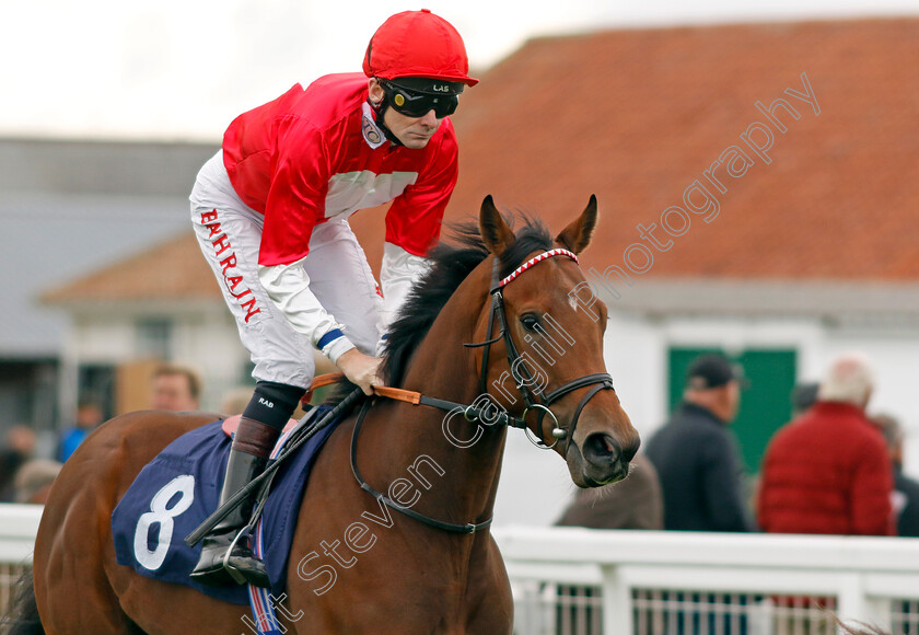 Rogue-Fighter-0001 
 ROGUE FIGHTER (Robert Havlin)
Yarmouth 16 Oct 2023 - Pic Steven Cargill / Racingfotos.com