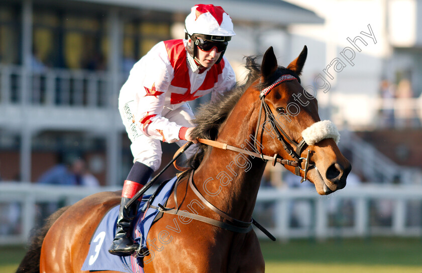 Boreas-Duke-0001 
 BOREAS DUKE (Nathan Evans)
Nottingham 20 Apr 2019 - Pic Steven Cargill / Racingfotos.com