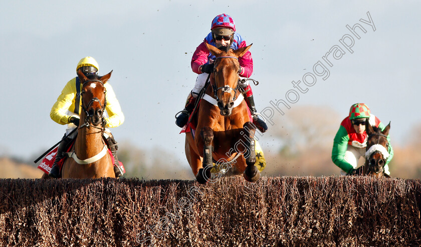 La-Bague-Au-Roi-0001 
 LA BAGUE AU ROI (Richard Johnson) wins The Ladbrokes Novices Chase
Newbury 30 Nov 2018 - Pic Steven Cargill / Racingfotos.com