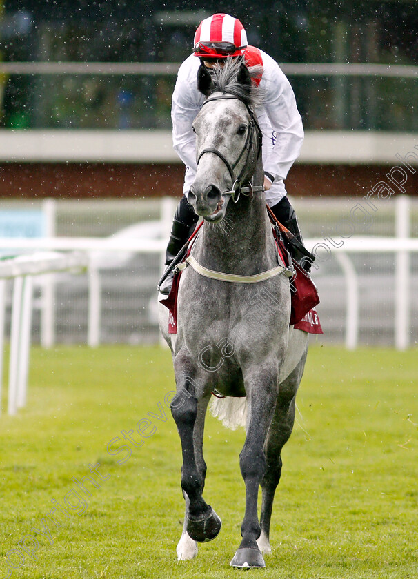 Top-Rank-0001 
 TOP RANK (P J McDonald)
Newbury 15 May 2021 - Pic Steven Cargill / Racingfotos.com