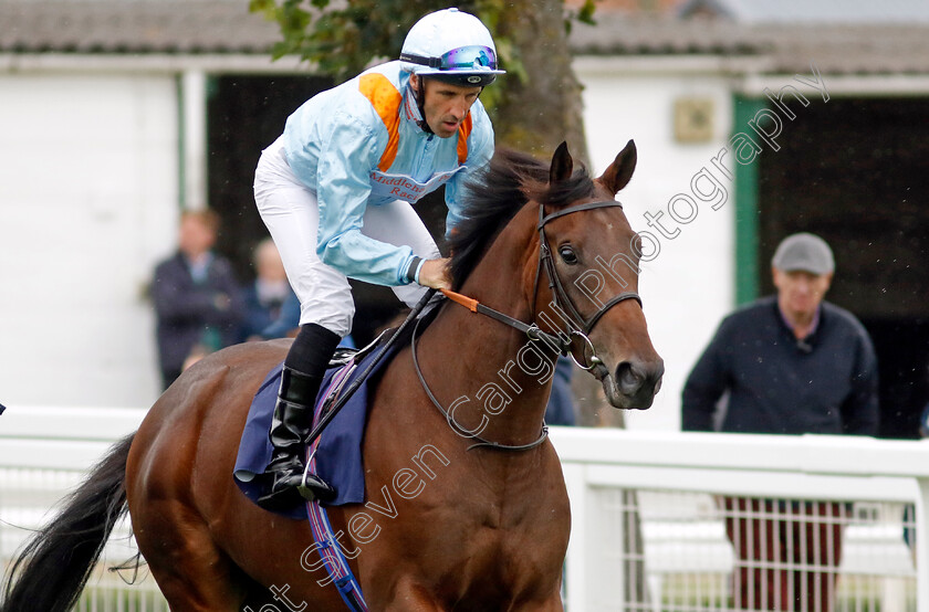 True-Blue-Gent-0001 
 TRUE BLUE GENT (Neil Callan)
Yarmouth 19 Sep 2023 - Pic Steven Cargill / Racingfotos.com