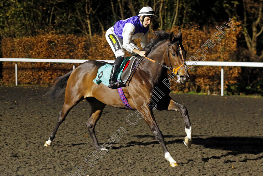 Middelton-0001 
 MIDDELTON (Neil Callan)
Kempton 4 Dec 2024 - Pic Steven Cargill / Racingfotos.com