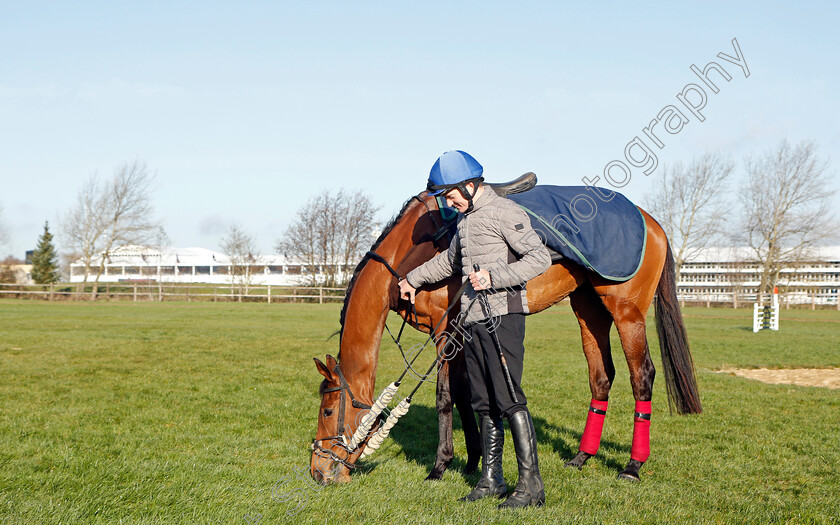 Honeysuckle-0011 
 HONEYSUCKLE after exercise on the eve of the Cheltenham Festival
Cheltenham 14 Mar 2022 - Pic Steven Cargill / Racingfotos.com