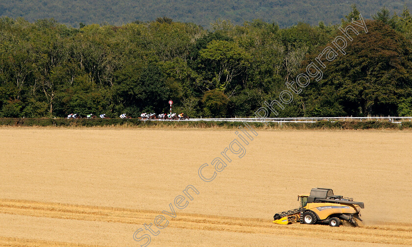 Goodwood-0001 
 MORE THAN THIS (Paul Hanagan) leads in the early stages on his way to winning The Telegraph Nursery
Goodwood 2 Aug 2018 - Pic Steven Cargill / Racingfotos.com