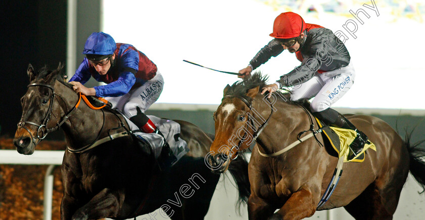 Confrerie-0004 
 CONFRERIE (left, Adam Kirby) beats LIGHTNING ATTACK (right) in The Join Racing TV Now Handicap Div1
Kempton 13 Jan 2021 - Pic Steven Cargill / Racingfotos.com