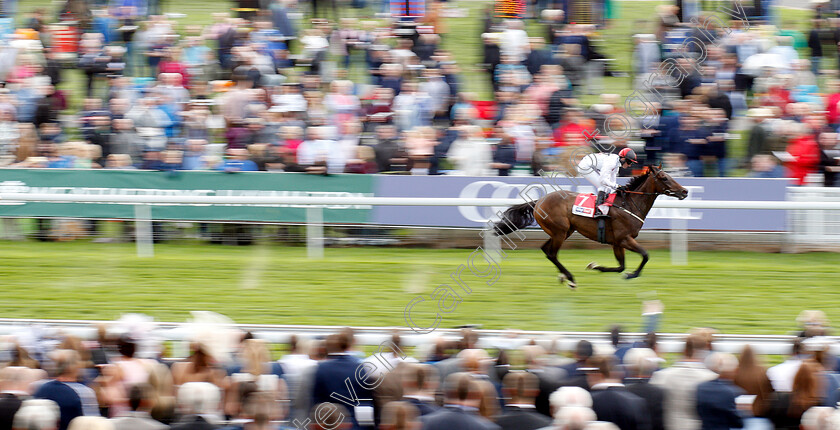 Titus-0002 
 TITUS (Ger O'Neill) wins The Sky Bet Handicap
York 24 Aug 2018 - Pic Steven Cargill / Racingfotos.com