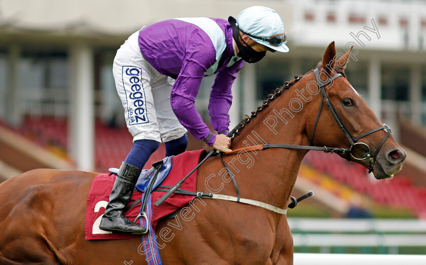 Tribal-Craft-0001 
 TRIBAL CRAFT (David Probert)
Haydock 3 Sep 2020 - Pic Steven Cargill / Racingfotos.com