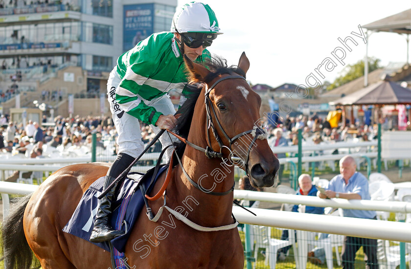 Like-A-Vision-0001 
 LIKE A VISION (Daniel Tudhope)
Doncaster 13 Sep 2024 - Pic Steven Cargill / Racingfotos.com