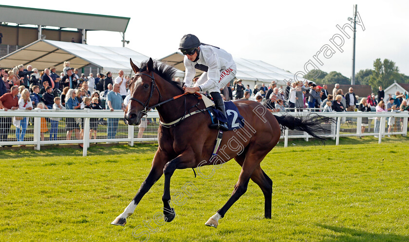 Bake-0005 
 BAKE (Tom Marquand) wins The Download The Quinnbet App Median Auction Maiden Stakes
Yarmouth 14 Jul 2021 - Pic Steven Cargill / Racingfotos.com