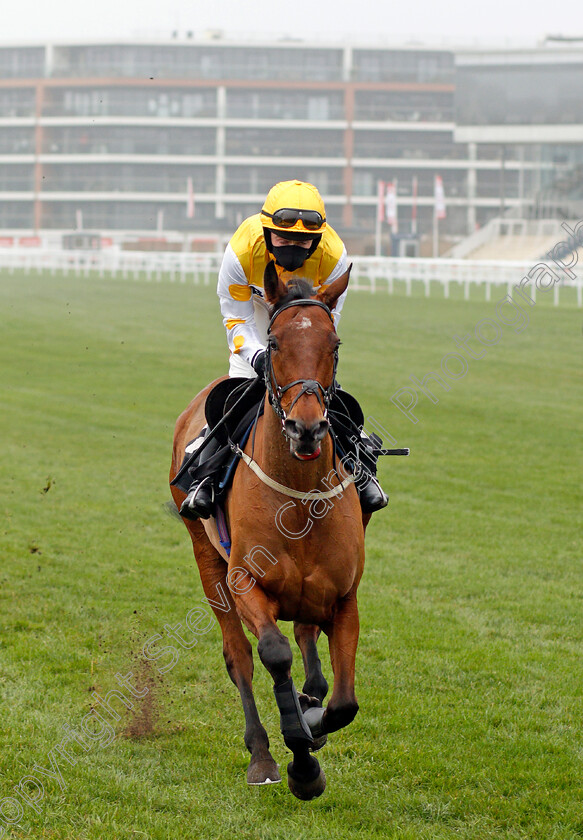 Pink-Sheets-0001 
 PINK SHEETS (Jack Quinlan) wins The Play Ladbrokes 5-A-Side On Football Mares Novices Hurdle
Newbury 28 Nov 2020 - Pic Steven Cargill / Racingfotos.com