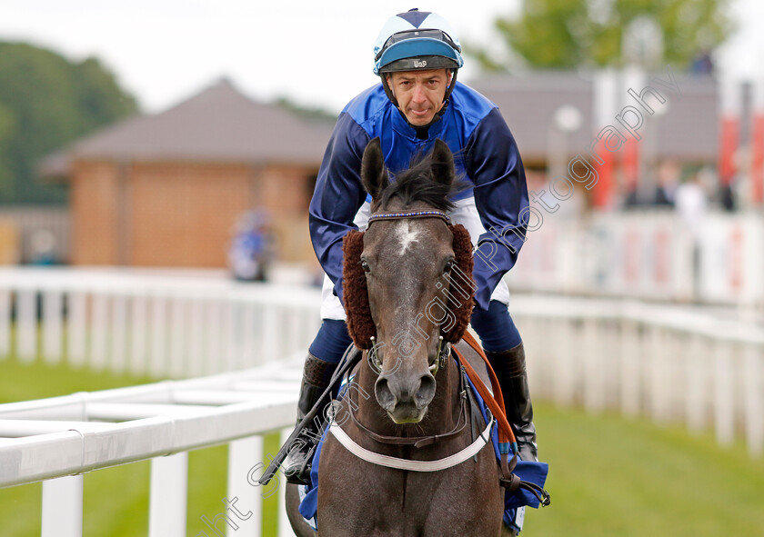 Selby s-Pride 
 SELBY'S PRIDE (Paddy Mathers)
York 11 Jun 2022 - Pic Steven Cargill / Racingfotos.com