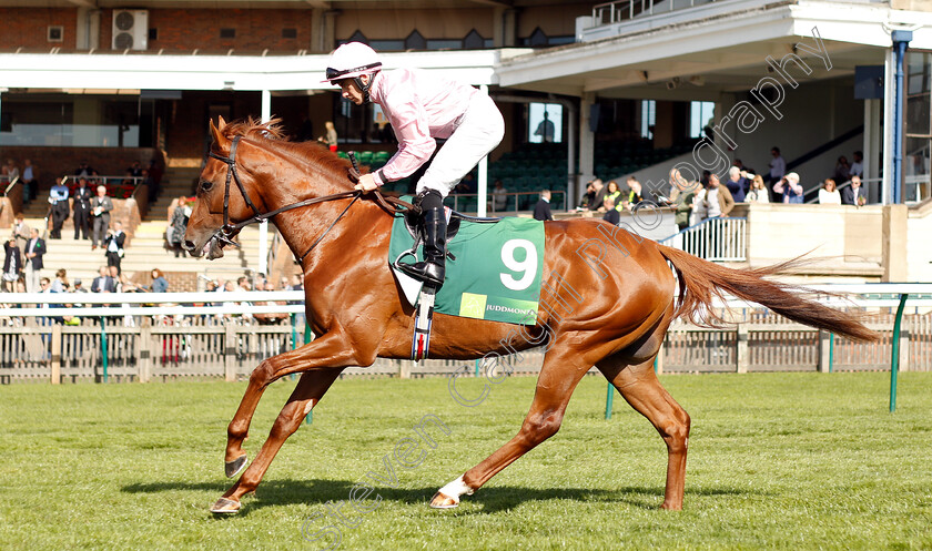 Sydney-Opera-House-0001 
 SYDNEY OPERA HOUSE (Wayne Lordan)
Newmarket 29 Sep 2018 - Pic Steven Cargill / Racingfotos.com