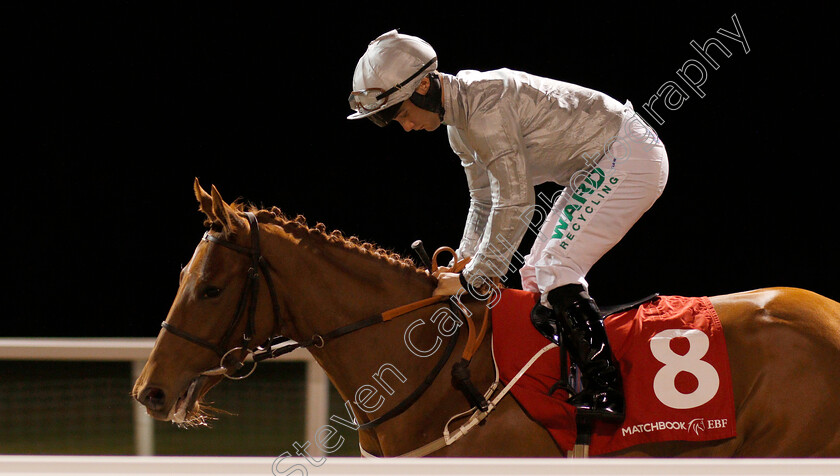 Morning-Shadow-0001 
 MORNING SHADOW (Jason Hart)
Chelmsford 28 Nov 2019 - Pic Steven Cargill / Racingfotos.com