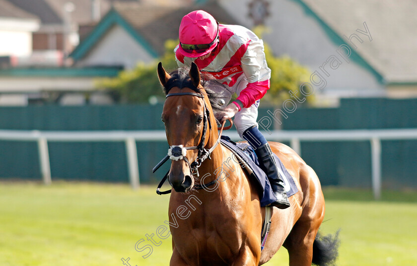 Enrolled-0002 
 ENROLLED (Daniel Muscutt)
Yarmouth 18 Sep 2024 - Pic Steven Cargill / Racingfotos.com