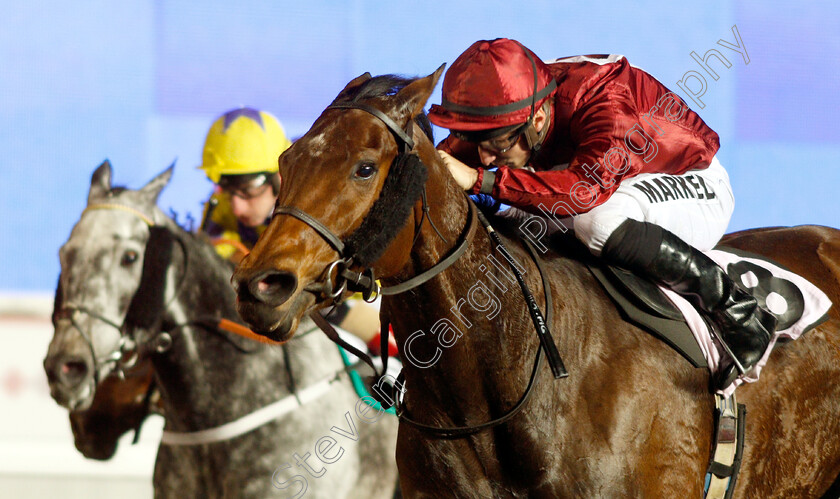 Magic-Mirror-0002 
 MAGIC MIRROR (Tom Marquand) wins The Bet At racinguk.com Handicap
Kempton 5 Dec 2018 - Pic Steven Cargill / Racingfotos.com