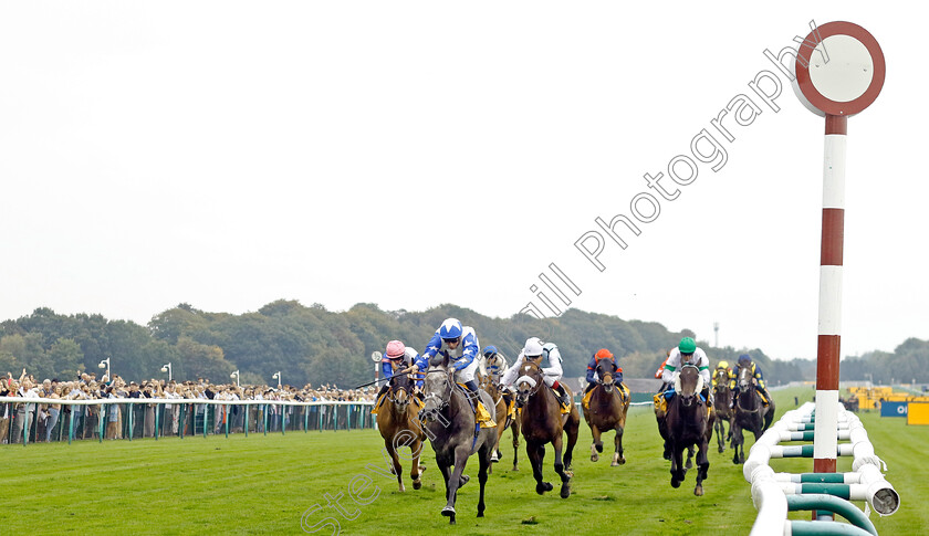 Master-Builder-0003 
 MASTER BUILDER (William Buick) wins The Betfair Handicap
Haydock 7 Sep 2024 - Pic Steven Cargill / Racingfotos.com