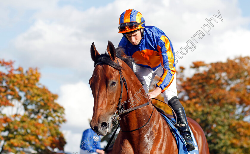 Aesop s-Fables-0002 
 AESOP'S FABLES (Ryan Moore)
Newmarket 8 Oct 2022 - Pic Steven Cargill / Racingfotos.com